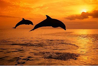 街机经典《打砖块：重装上阵》发售 上市宣传片欣赏